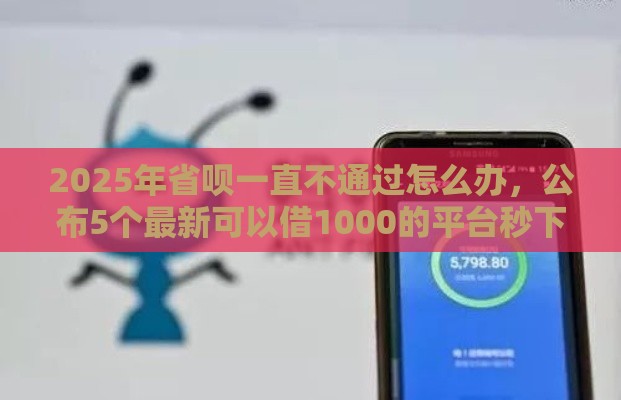 2025年省呗一直不通过怎么办，公布5个最新可以借1000的平台秒下款