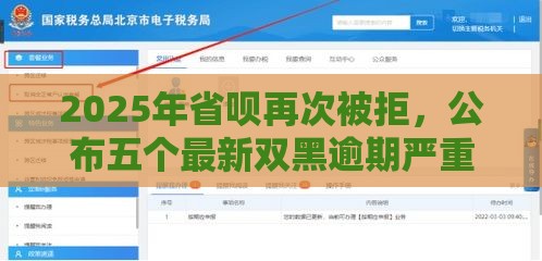 2025年省呗再次被拒，公布五个最新双黑逾期严重能下款的平台
