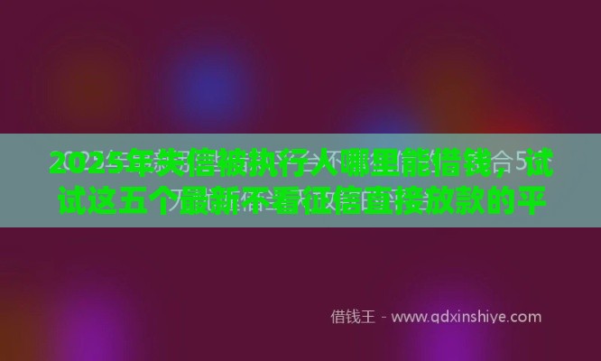 2025年失信被执行人哪里能借钱，试试这五个最新不看征信直接放款的平台