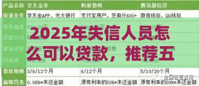 2025年失信人员怎么可以贷款，推荐五个最新黑户微信借500的平台