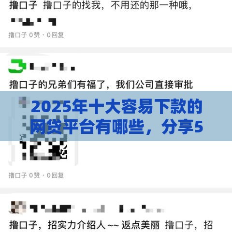 2025年十大容易下款的网贷平台有哪些，分享5个最新黑户借款必下口子