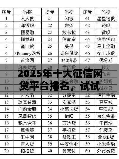2025年十大征信网贷平台排名，试试这五个最新现在借款平台好借钱