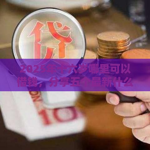 2025年十六岁哪里可以借钱，分享五个最新什么口子不看征信必下款