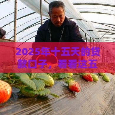 2025年十五天的贷款口子，看看这五个最新借钱平台容易通过的