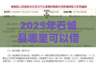 2025年石城县哪里可以借钱，试试这五个最新保单贷款平台