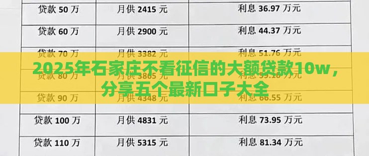 2025年石家庄不看征信的大额贷款10w，分享五个最新口子大全