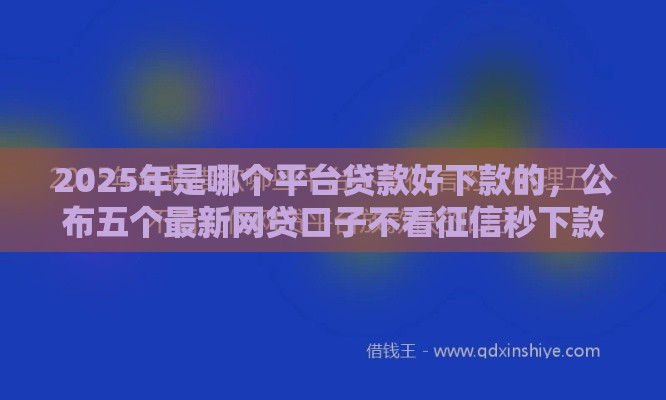 2025年是哪个平台贷款好下款的，公布五个最新网贷口子不看征信秒下款的平台