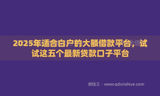 2025年适合白户的大额借款平台，试试这五个最新贷款口子平台