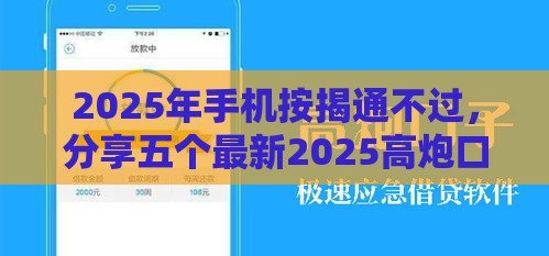 2025年手机按揭通不过，分享五个最新2025高炮口子秒下款
