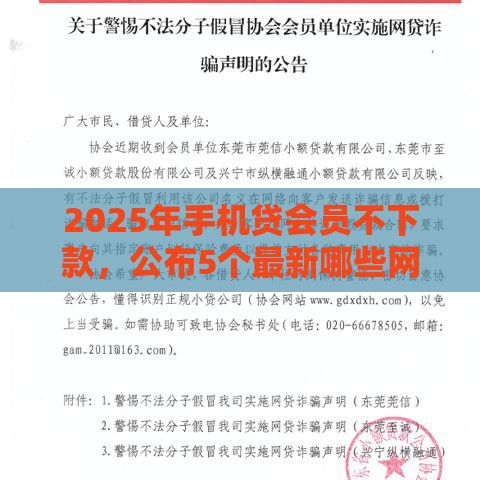 2025年手机贷会员不下款，公布5个最新哪些网贷平台是正规的
