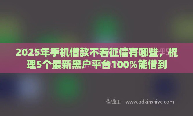 2025年手机借款不看征信有哪些，梳理5个最新黑户平台100%能借到