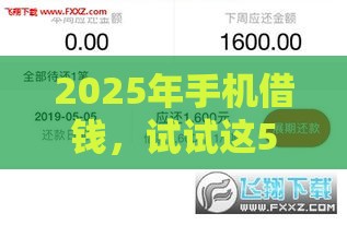 2025年手机借钱，试试这5个最新黑户花户能下款的平台