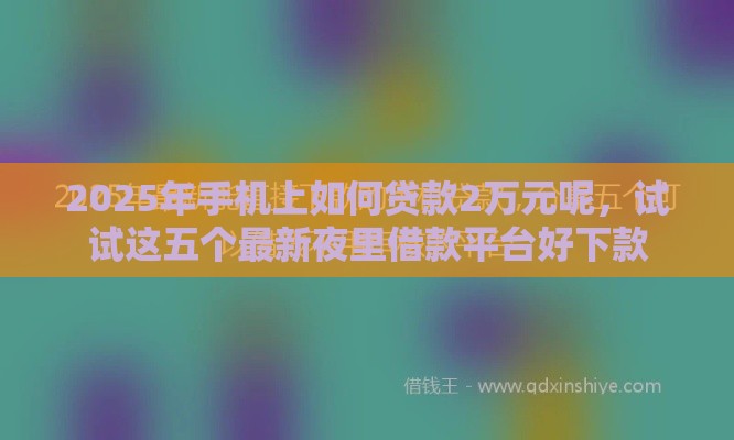 2025年手机上如何贷款2万元呢，试试这五个最新夜里借款平台好下款