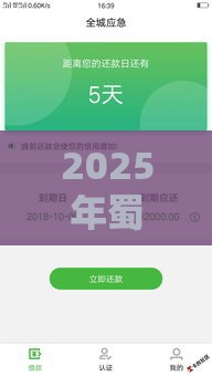 2025年蜀信卡怎么借钱到微信，试试这5个最新70岁老人必下款的平台