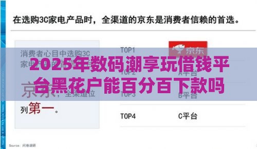 2025年数码潮享玩借钱平台黑花户能百分百下款吗，公布五个最新贷款网络平台