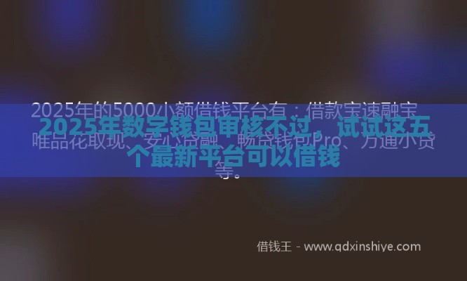 2025年数字钱包审核不过，试试这五个最新平台可以借钱