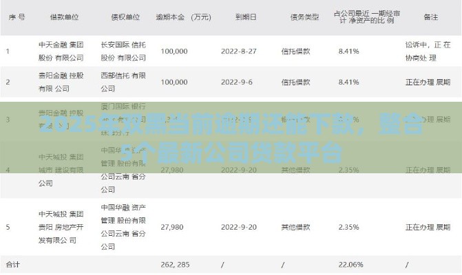 2025年双黑当前逾期还能下款，整合5个最新公司贷款平台