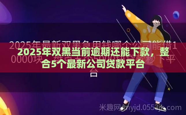 2025年双黑当前逾期还能下款，整合5个最新公司贷款平台
