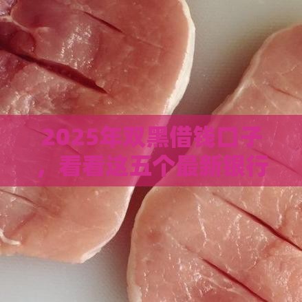 2025年双黑借钱口子，看看这五个最新银行贷款咨询平台