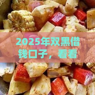 2025年双黑借钱口子，看看这五个最新银行贷款咨询平台