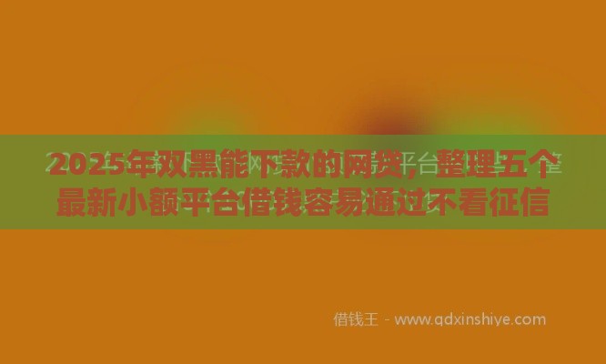 2025年双黑能下款的网贷，整理五个最新小额平台借钱容易通过不看征信