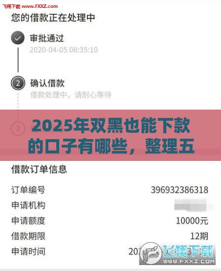 2025年双黑也能下款的口子有哪些，整理五个最新平台比较好贷款