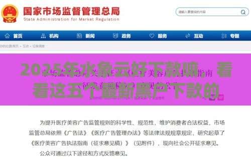 2025年水象云好下款嘛，看看这五个最新黑户下款的软件