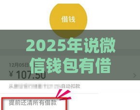 2025年说微信钱包有借钱，整合5个最新不需要征信的借款平台
