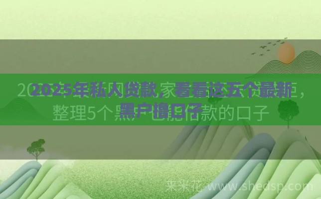 2025年私人贷款，看看这五个最新黑户撸口子