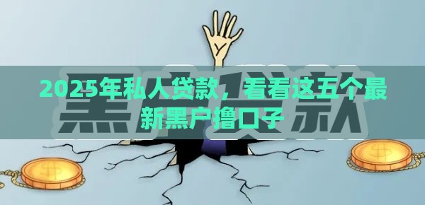 2025年私人贷款，看看这五个最新黑户撸口子