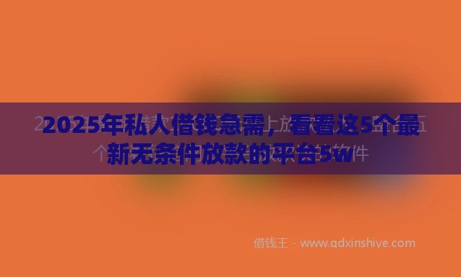 2025年私人借钱急需，看看这5个最新无条件放款的平台5w