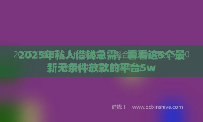 2025年私人借钱急需，看看这5个最新无条件放款的平台5w