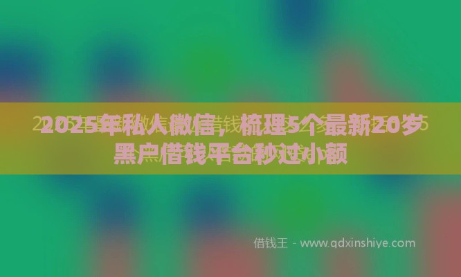 2025年私人微信，梳理5个最新20岁黑户借钱平台秒过小额