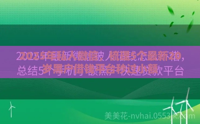 2025年私人微信，梳理5个最新20岁黑户借钱平台秒过小额