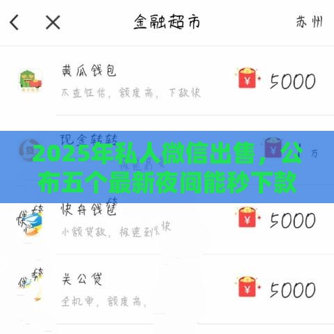 2025年私人微信出售，公布五个最新夜间能秒下款的高炮口子