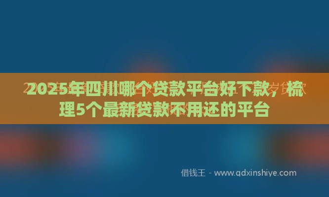 2025年四川哪个贷款平台好下款，梳理5个最新贷款不用还的平台