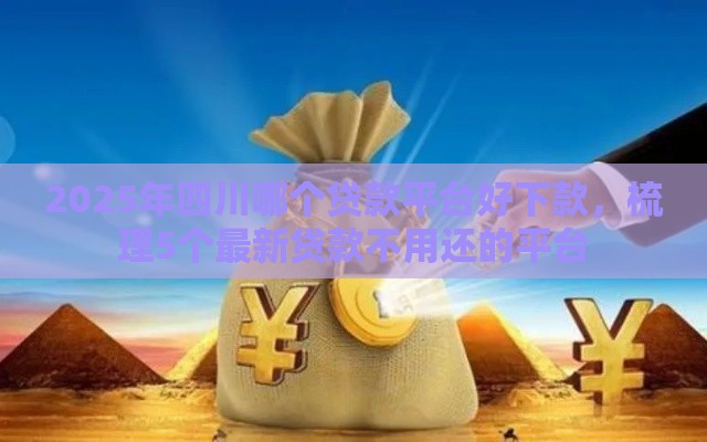 2025年四川哪个贷款平台好下款，梳理5个最新贷款不用还的平台