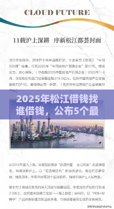 2025年松江借钱找谁借钱，公布5个最新贷款平台好通过