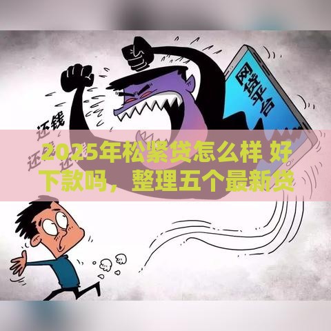 2025年松紧贷怎么样 好下款吗，整理五个最新贷款十大平台