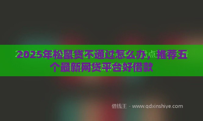 2025年松鼠贷不通过怎么办，推荐五个最新网贷平台好借款