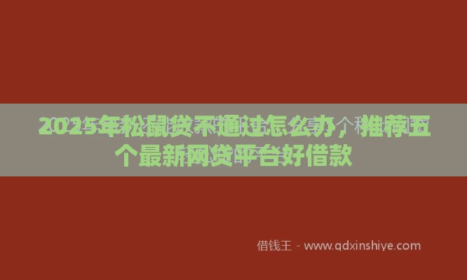 2025年松鼠贷不通过怎么办，推荐五个最新网贷平台好借款