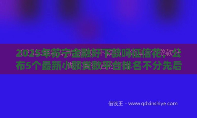 2025年苏宁金融好下款吗征信花，公布5个最新小额贷款平台排名不分先后