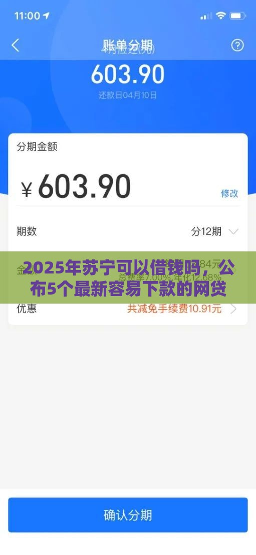 2025年苏宁可以借钱吗，公布5个最新容易下款的网贷平台