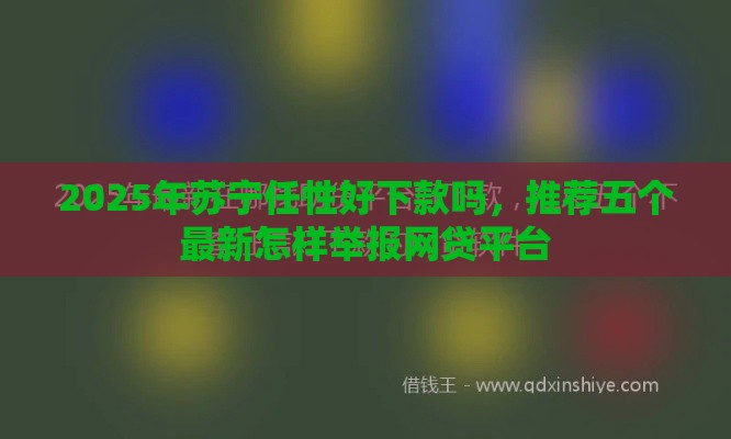 2025年苏宁任性好下款吗，推荐五个最新怎样举报网贷平台