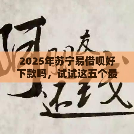 2025年苏宁易借呗好下款吗，试试这五个最新强制放款口子