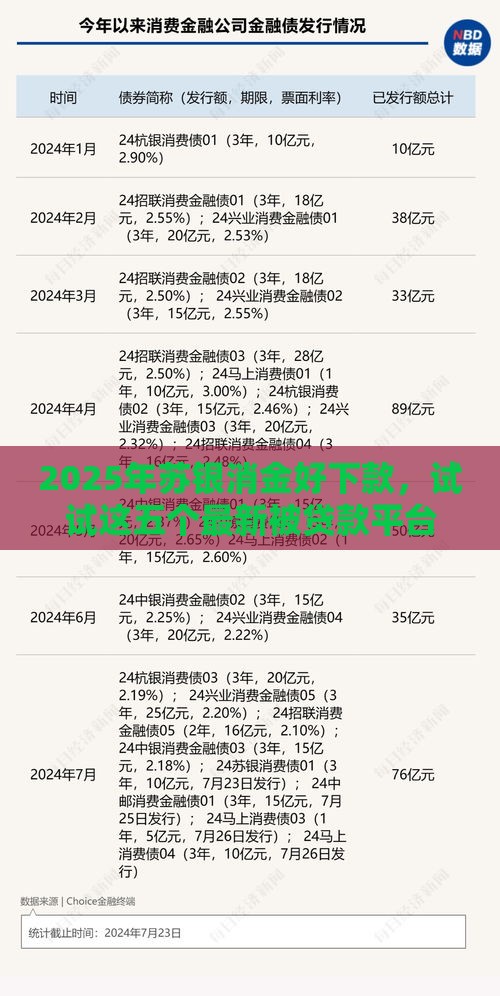 2025年苏银消金好下款，试试这五个最新被贷款平台骗了怎么办