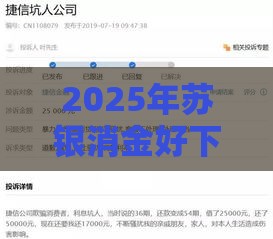 2025年苏银消金好下款，试试这五个最新被贷款平台骗了怎么办