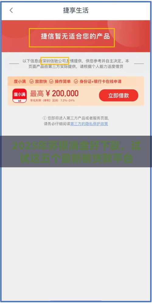 2025年苏银消金好下款，试试这五个最新被贷款平台骗了怎么办