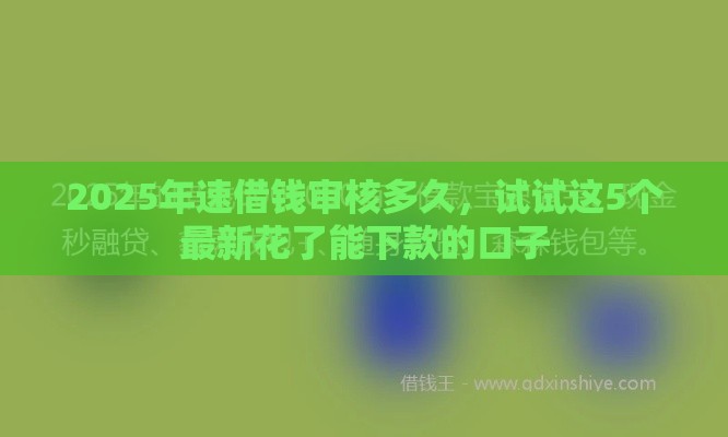 2025年速借钱审核多久，试试这5个最新花了能下款的口子