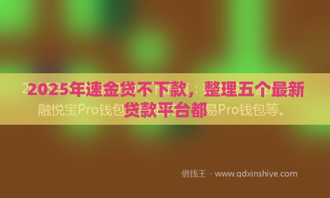 2025年速金贷不下款，整理五个最新贷款平台都